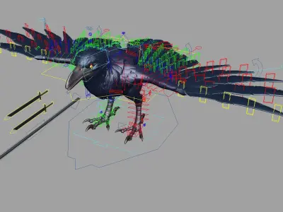  Vail Crow Anim Rig 