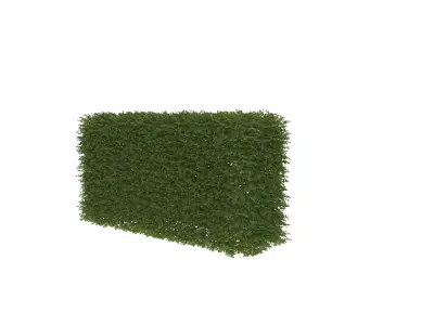 A standing clump of grass 3D model