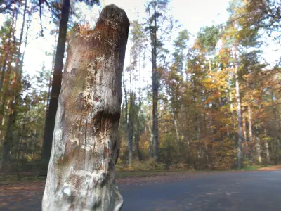 Tree Stump Low-poly 3D model