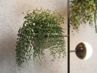 Floor light  plant Indoor  outdoor plants stand pot 3D model