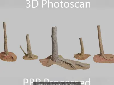 Pine Tree Collection PBR Scan 3D Model Pack