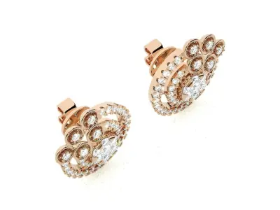 Light wt Women Diamond Earrings  3D print model