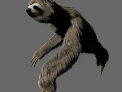 Sloth Low-poly 3D model