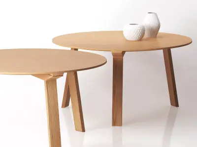 Mitis Round 3D model