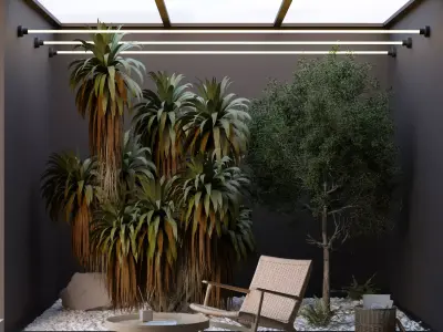 Open roof lounge with mountain cabbage plants 3D model