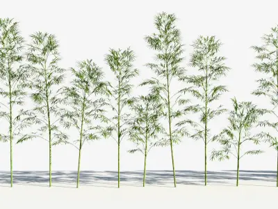  Bamboo Trees 3 (+GrowFX) 