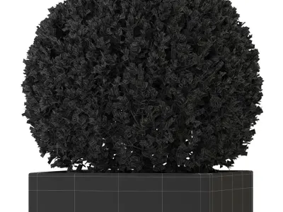 Plants collection 328 3D model