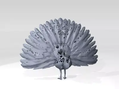 Peafowl Voronoi 3D model