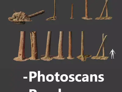  HQ Pine Tree Trunk Stump Scanned Collection Processed Low-poly 3D model