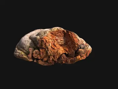 Mushroom photoscan - FomesFomentarius Low-poly 3D model