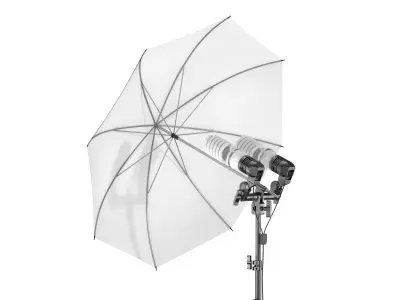 Umbrella Lighting Double Light Bulbs 3D model