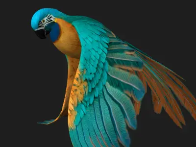 Parrot_A1