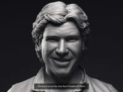 Leia Obi-Wan Han Solo and Luke 3d printable bust collection  3D Model Pack