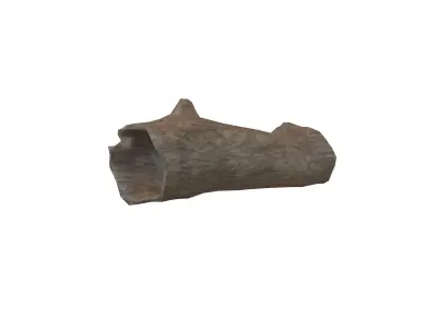 Fallen Tree Trunk v1 001 Low-poly 3D model