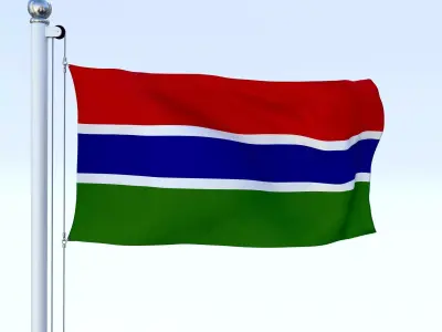 Animated Gambia Flag Low-poly 3D model