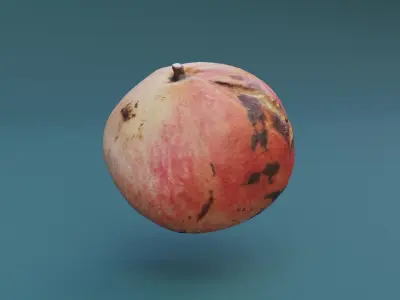 Pomegranate Scan  Free low-poly 3D model