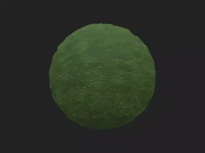 Grass pbr moss Texture