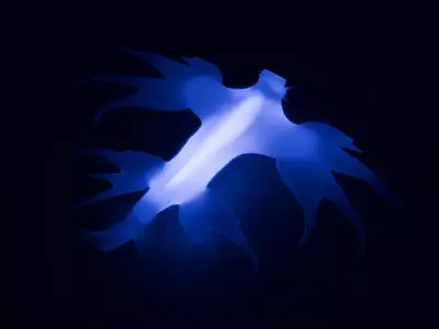  Sea slugs Indirect lighting 3D model