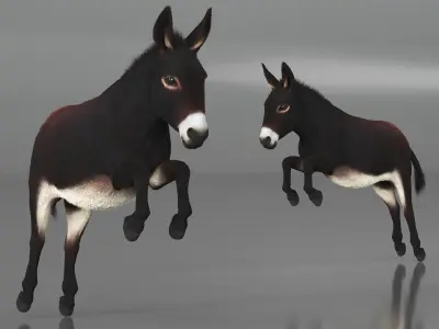  Village Load Donkey Dark Brown Fur Rigged 