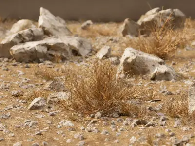 Gobi Desert Wild Grass Survival Ground 3D model