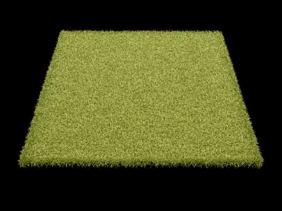 Carpets Vol 4 3D model