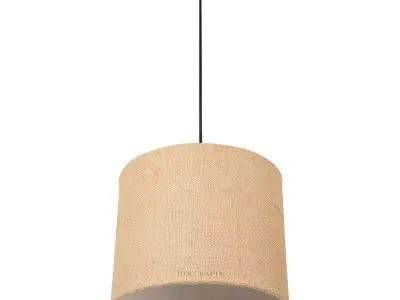 Hanging light for living room 3D model