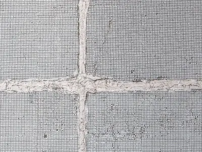 stucco 543 Texture