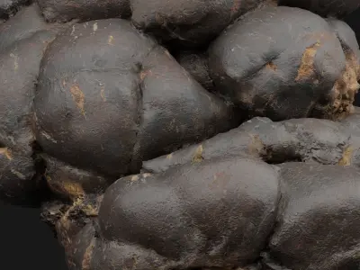 Manure 3D model