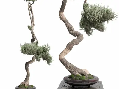 bonsai old metal Pot - Indoor Plants set 470 3D model