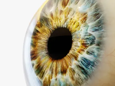  Human eye Photorealistic 