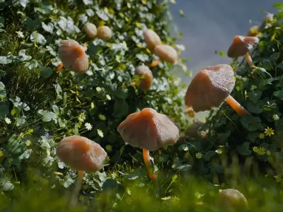 Mushroom Road Scene Low-poly 3D model