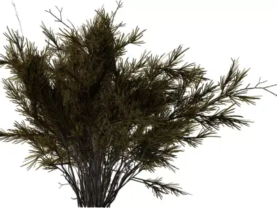 Stylized Rosemary Shrub Pack  Low-poly 3D model