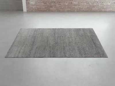 Sathi Plain Carpets 3D model