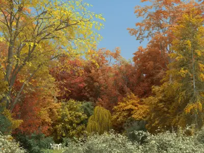  100 Summer Broadleaf Trees 