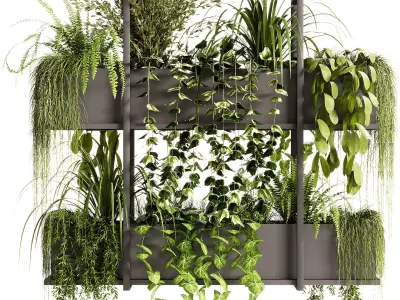 Indoor Plants - 23  Hanging plants 3D model