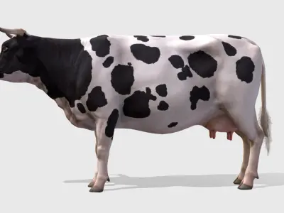  Cow gameready 