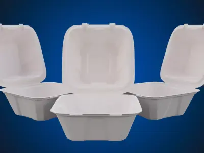 Compostable Food Container - Disposable 3D model