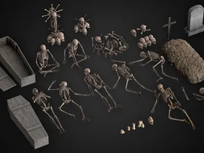 Human Skeletons and Bones Low-poly 3D model
