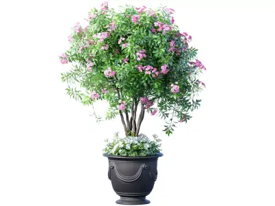 Decorative evergreen flowering tree plant classic garden pot 3D model