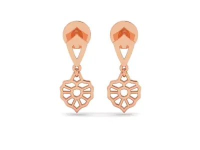 Women Earrings 3D print model