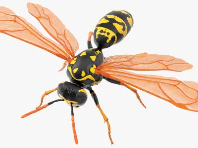  Flying Insects Rigged Collection 5 