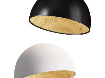 Duo Slanted Ceiling Lamp 3D model