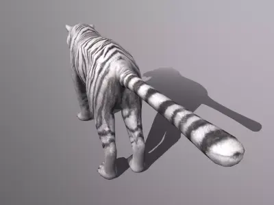 tiger Low-poly 3D model