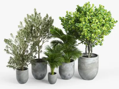 Concrete set tree in pot 3D model