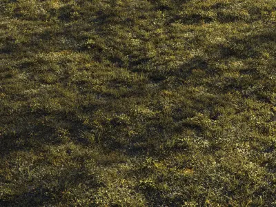 Forest grass 2 3D model