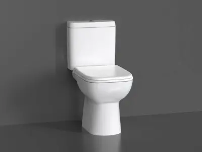 WC45 Toilet 3D model