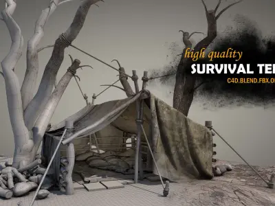 Survival Tent v7 3D model