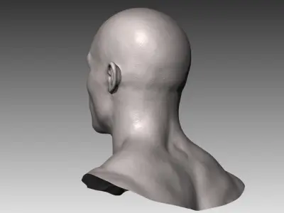 Realistic White Male Head 3D model