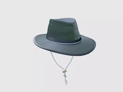 Traveling Hat 3D model
