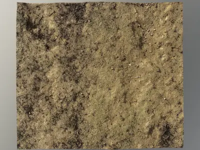 dirtpathscan06102024 3D model